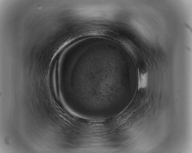X0000097670387200802291505