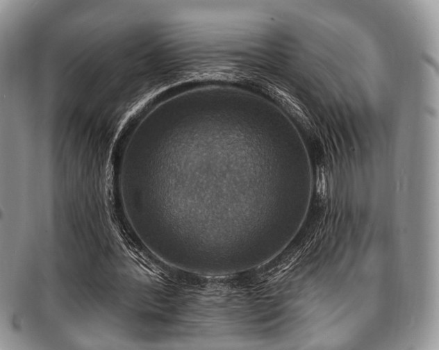 X0000097670388200802291505