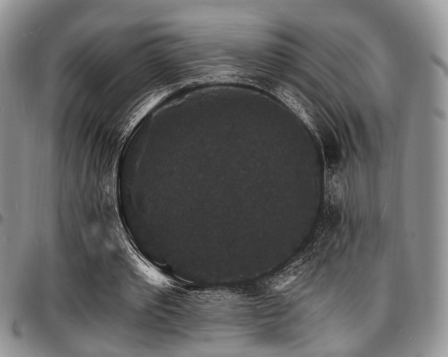 X0000097670389200802291505