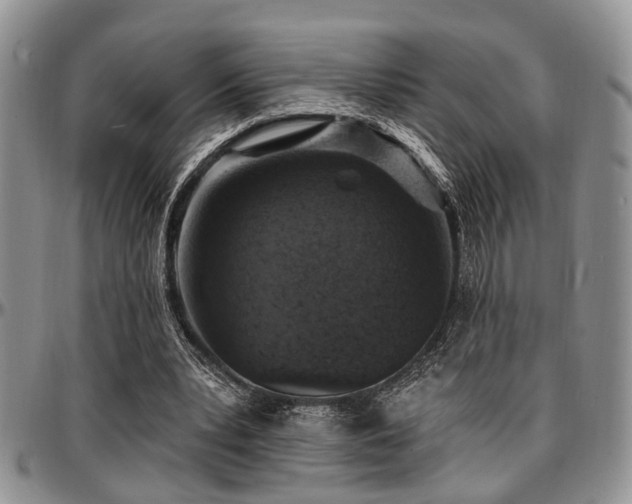 X0000097670391200802291505