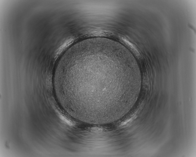X0000097670394200802291505