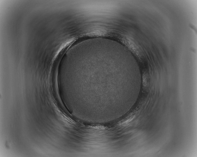 X0000097670396200802291505
