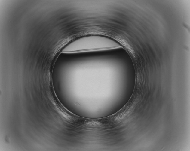 X0000097670397200802291505