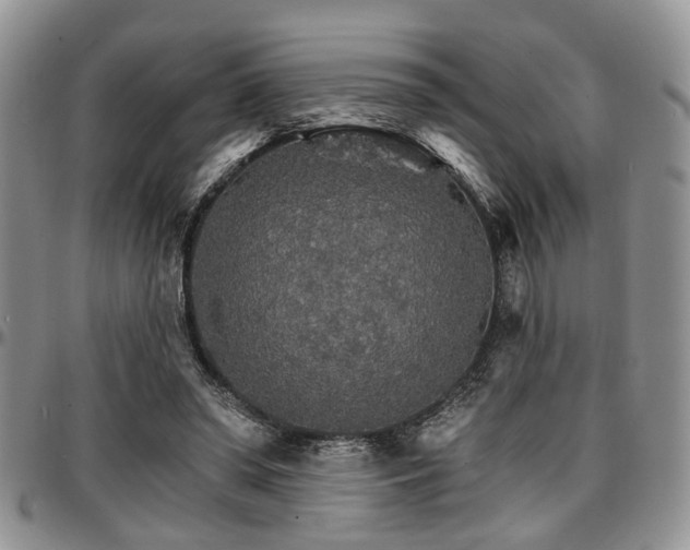 X0000097670398200802291505