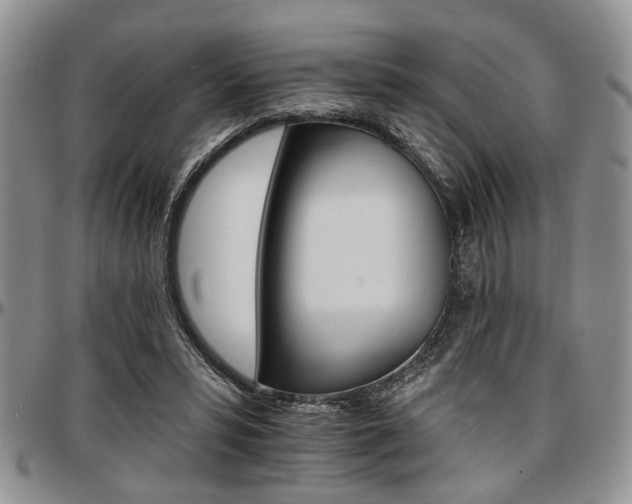 X0000097670399200802291505