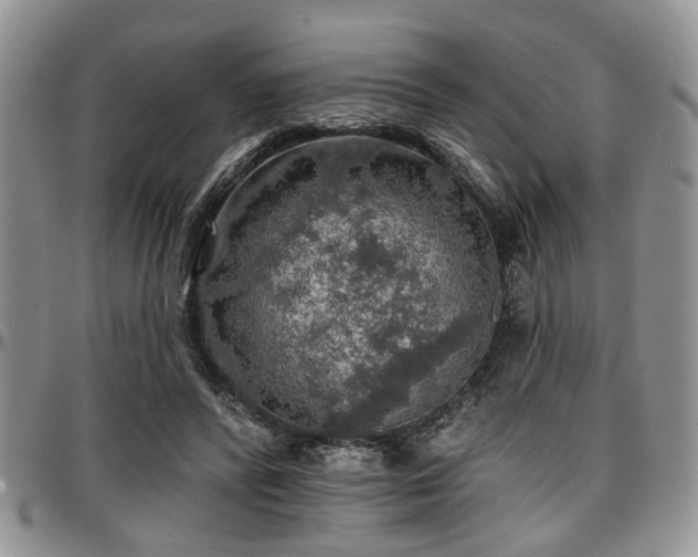 X0000097670400200802291505