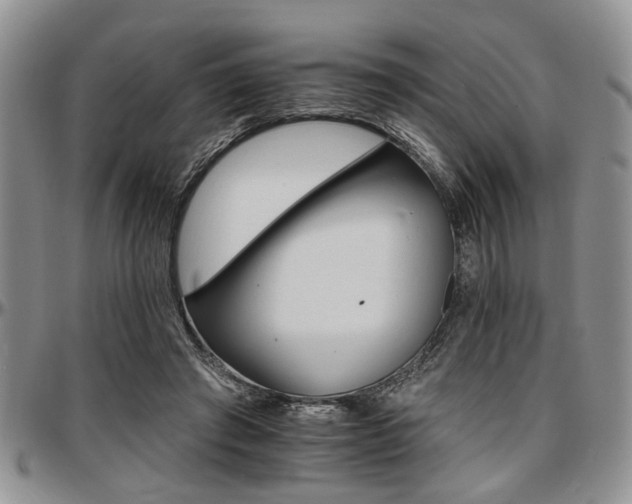 X0000097670401200802291505