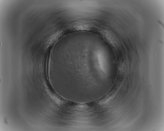 X0000097670402200802291505