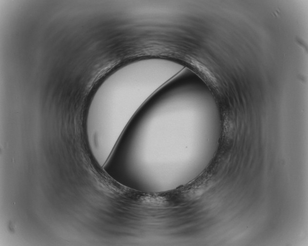 X0000097670403200802291505