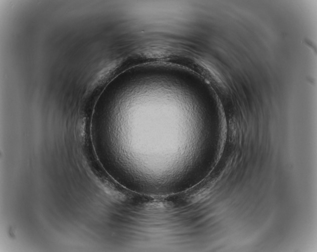 X0000097670404200802291505