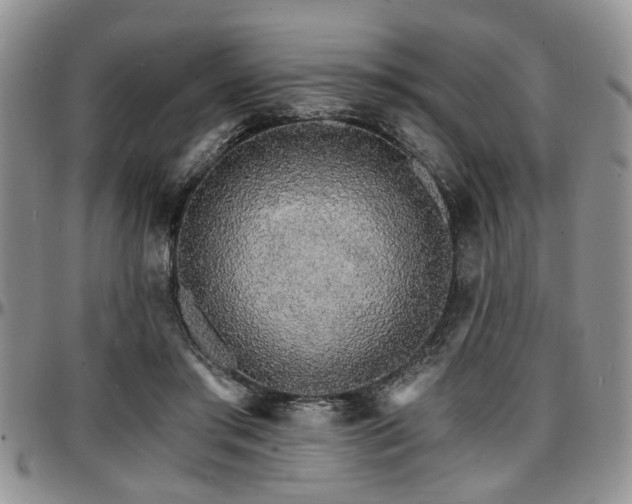 X0000097670405200802291505