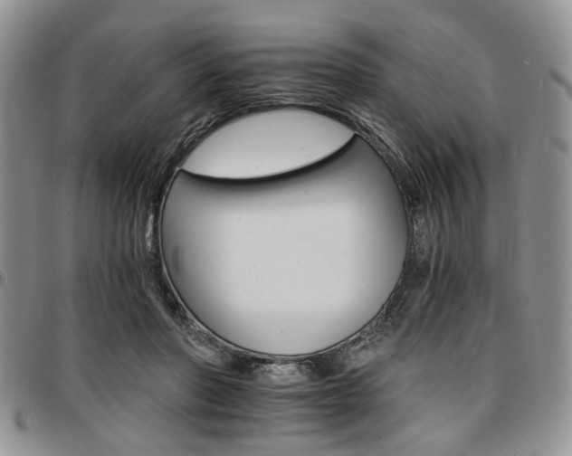 X0000097670406200802291505