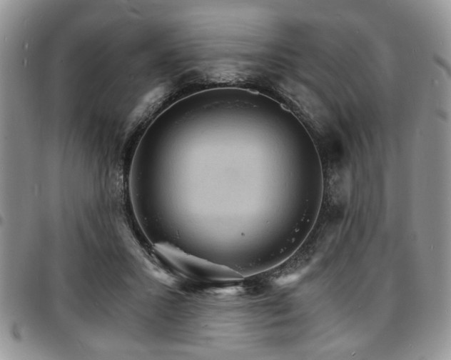 X0000097670407200802291505