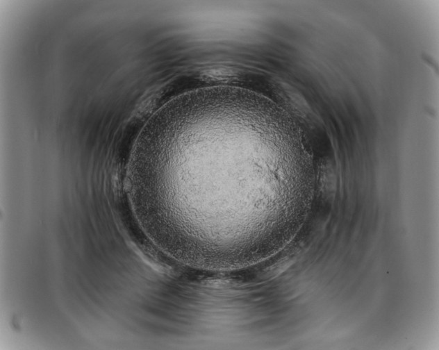 X0000097670408200802291505