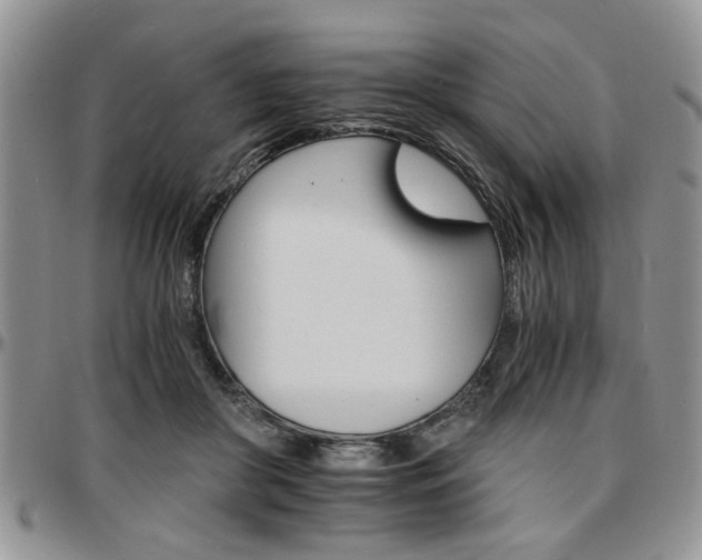 X0000097670410200802291505