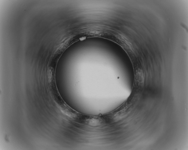 X0000097670412200802291505