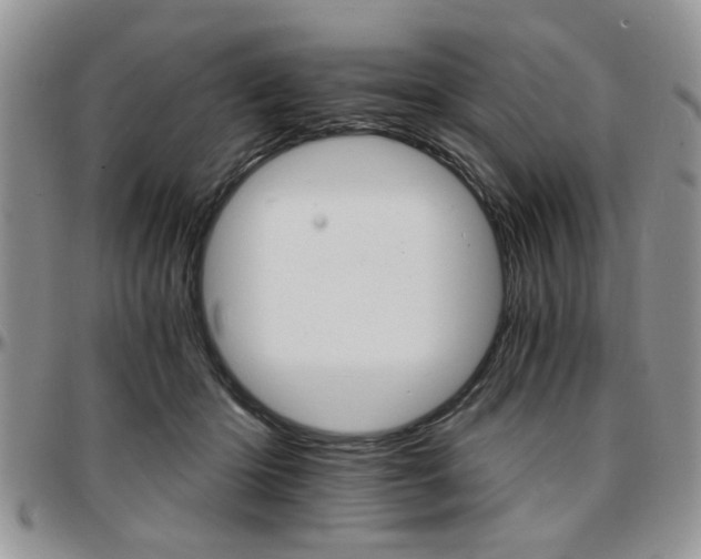 X0000097670414200802291505