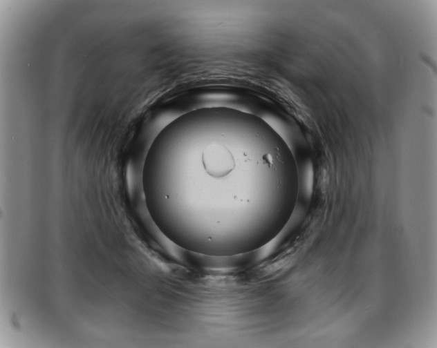 X0000097670415200802291505