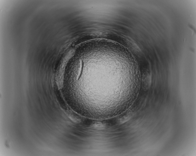 X0000097670416200802291505