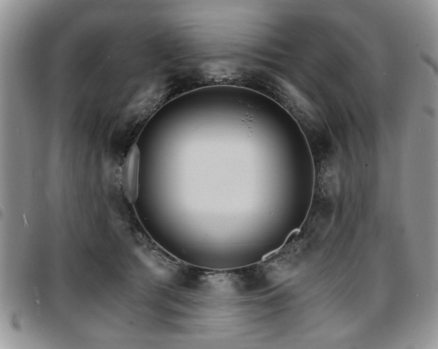 X0000097670417200802291505