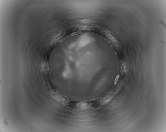 X0000097670419200802291505