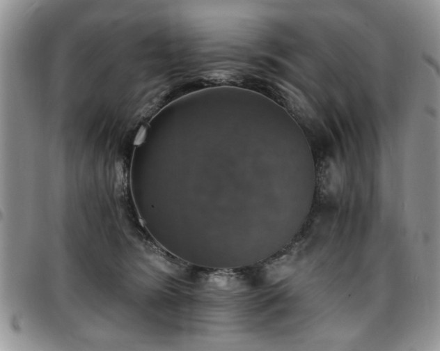 X0000097670420200802291505
