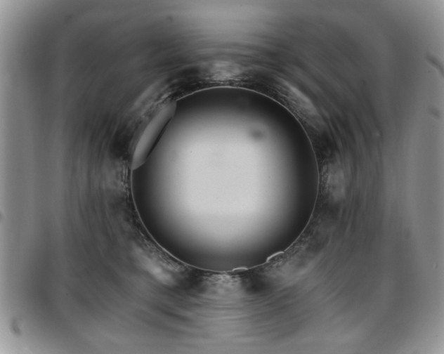 X0000097670421200802291505