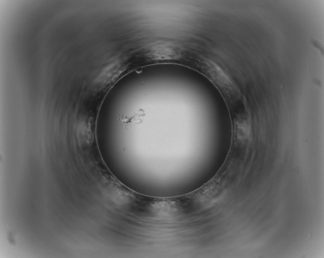 X0000097670422200802291505