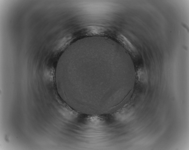 X0000097670423200802291505