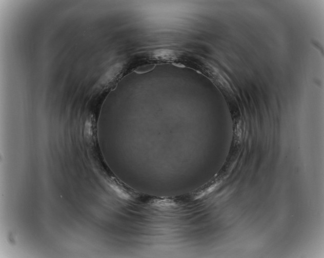 X0000097670424200802291505