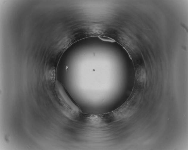 X0000097670425200802291505