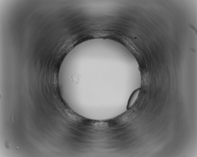 X0000097670426200802291505
