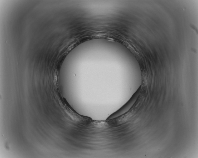 X0000097670427200802291505