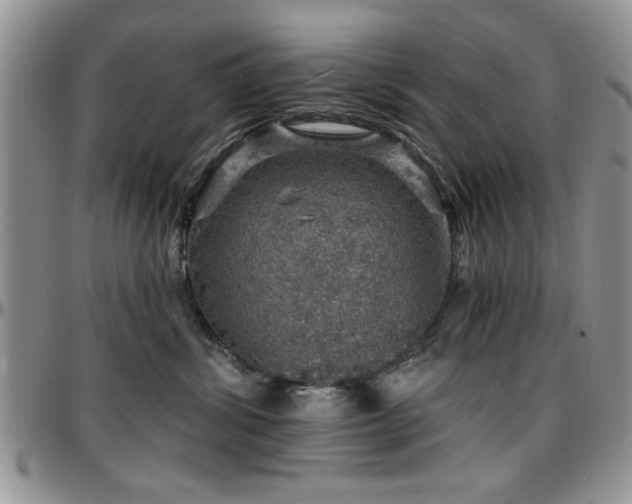 X0000097670428200802291505