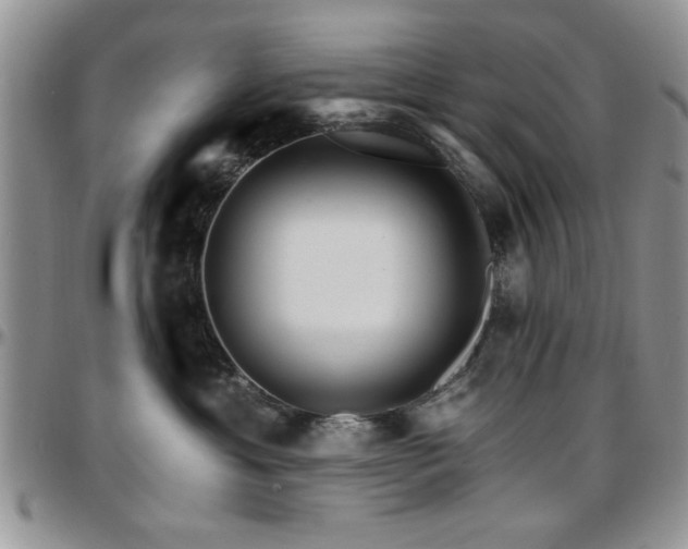 X0000097670429200802291505