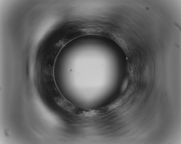 X0000097670430200802291505