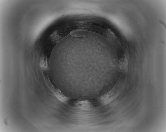 X0000097670431200802291505