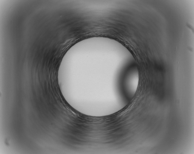 X0000097670432200802291505