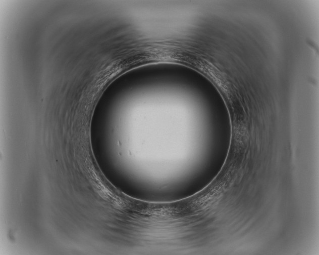 X0000097670433200802291504
