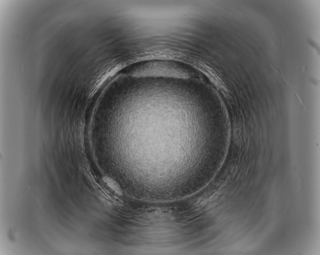 X0000097670434200802291504