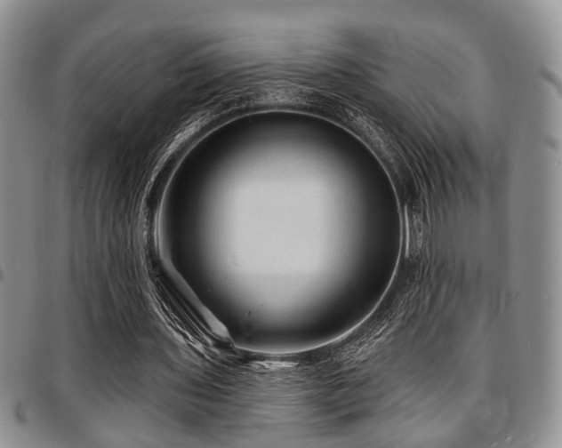 X0000097670435200802291504