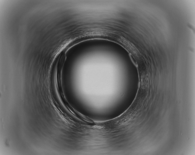 X0000097670436200802291504
