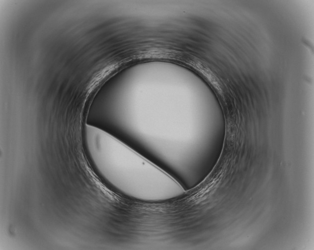 X0000097670437200802291504