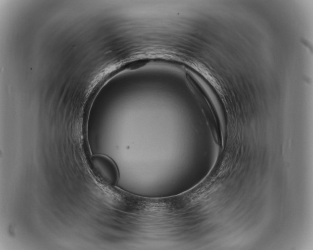 X0000097670438200802291504