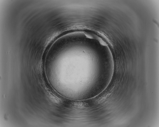 X0000097670439200802291504