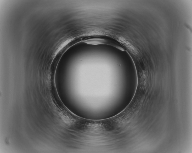 X0000097670440200802291504