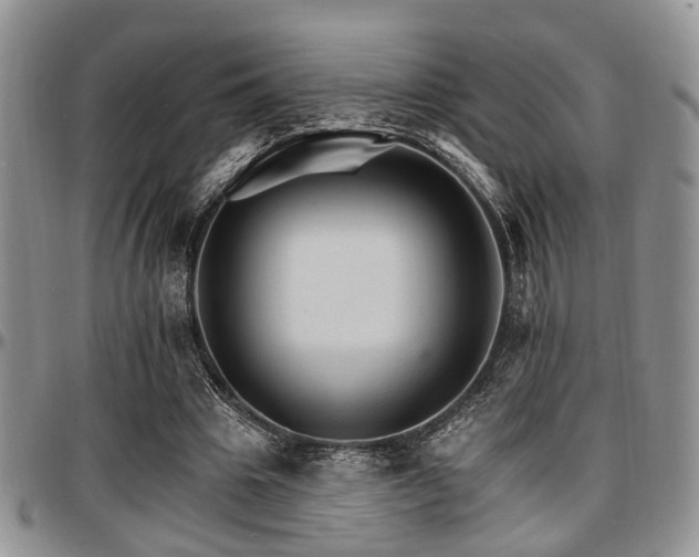 X0000097670441200802291504