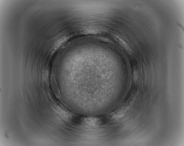 X0000097670444200802291504
