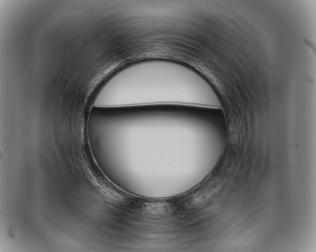 X0000097670446200802291504