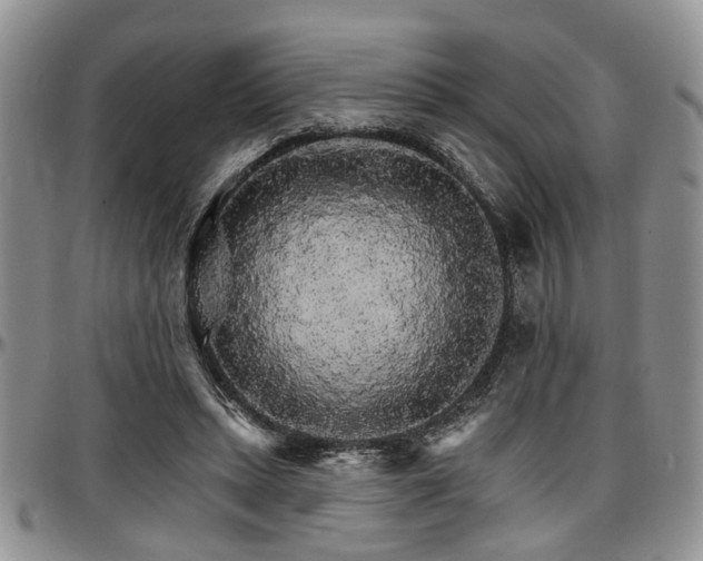 X0000097670447200802291504